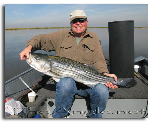 [Image, Dad with big delta striped bass]