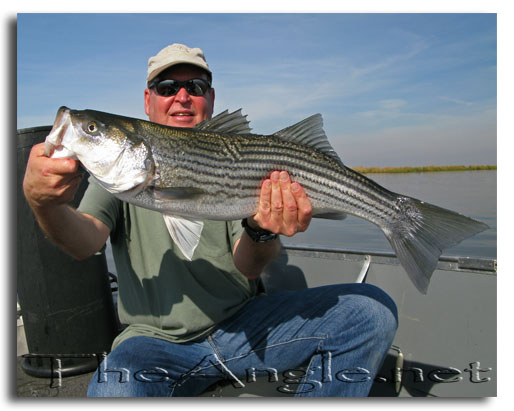 [Image, Dad with big striper]