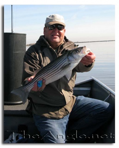 [Image, Dad with Striped Bass]