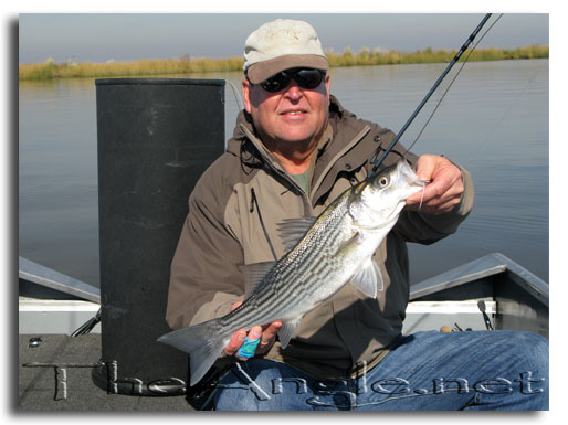 [Image, Dad with small delta striper]