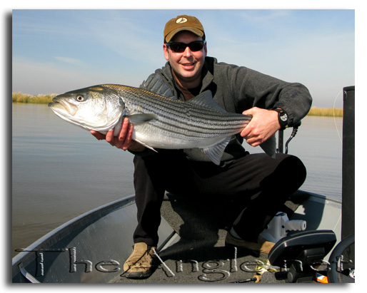 [Image, Doug Squyres with fly caught Delta Striper]