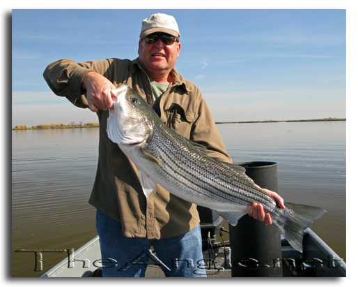 [Image, Dad with big delta striped bass]