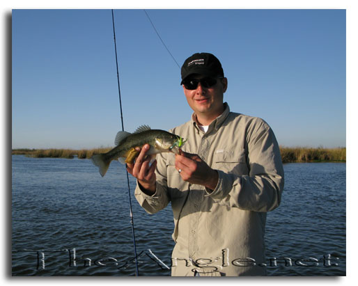 [Middle River Large Mouth Bass on a fly]