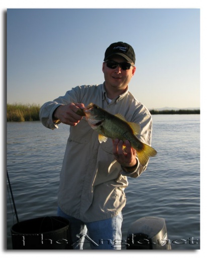 [San Joaquin Black Bass, Fly-Caught]