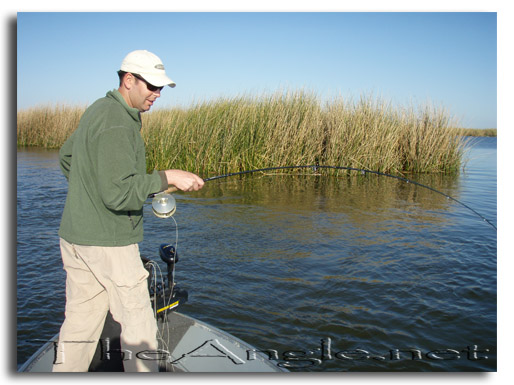 [Fish-On, CA Delta]