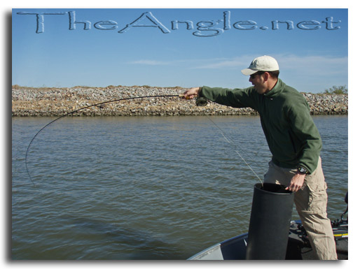 [CA Delta Spring Striper Fly Fishing]