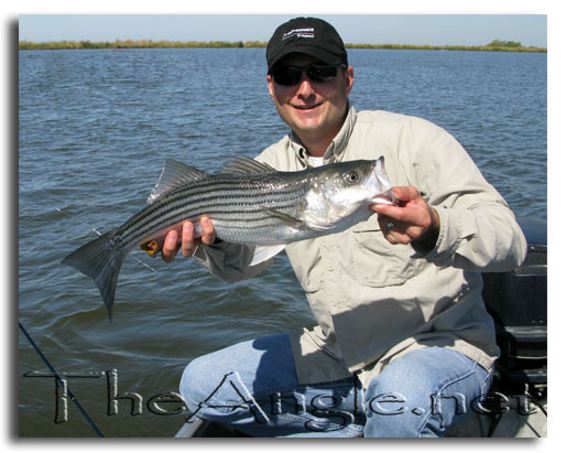 [Spring Striper, Jeff French]