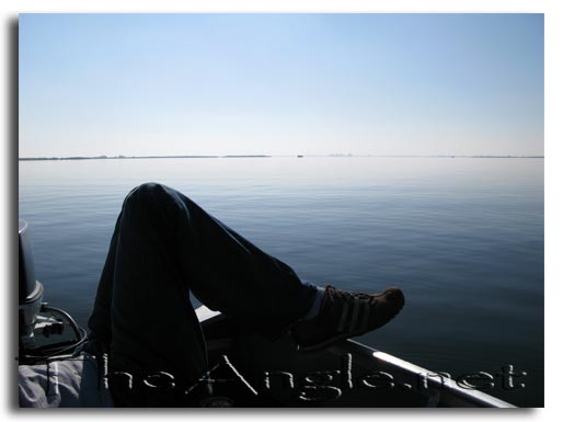 [Image: Fly Fishing for California Delta Stripers]