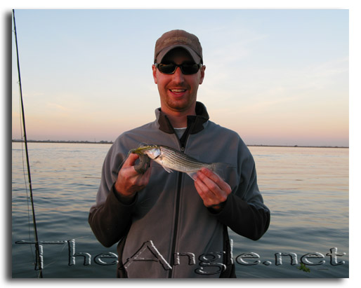 [Image: Fly Fishing for California Delta Stripers]