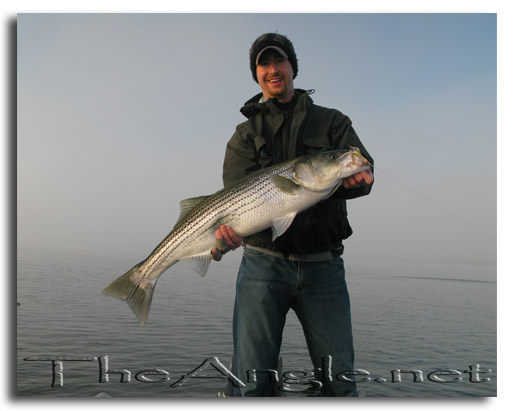 [Image: Brandon Squyres with Big Striped Bass]