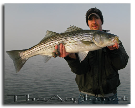 [Image: Brandon Squyres Fly Fishing for California Delta Stripers]