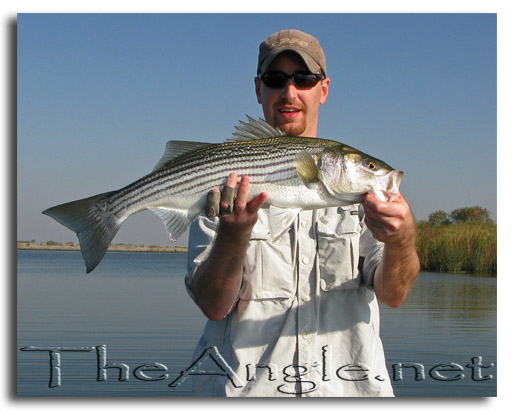 [Image: Brandon Fly Fishing for California Stripers]