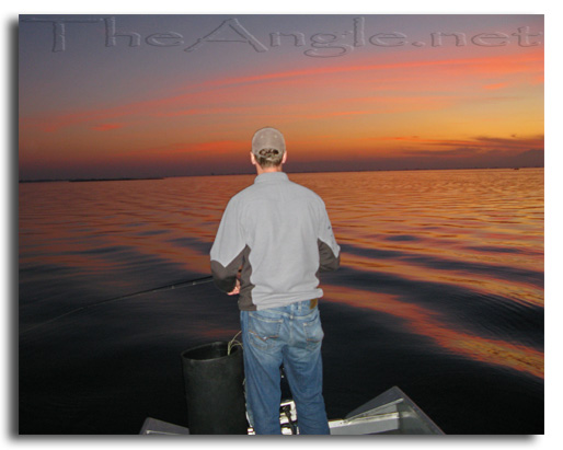 [Image: Fly Fishing for California Delta Stripers]