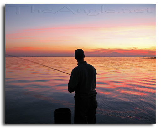 [Image:California Delta, November Sunset]