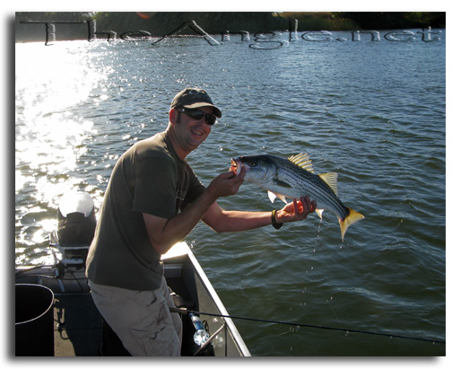 [Image: Fly Fishing for California Delta Stripers]