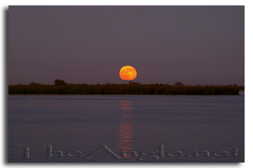 [Image: Delta Moonrise]