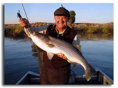 [Delta Striper Fishing Lee Haskin, top water]