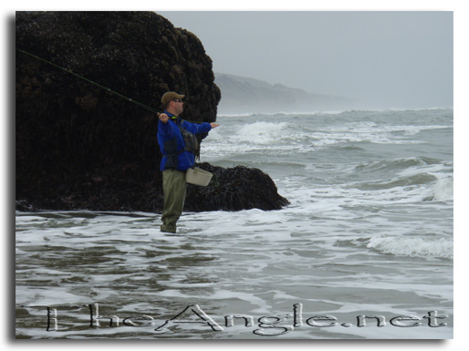 [Image: Surf Perching]