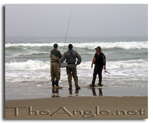 [Image: Monterey Bay surf perch fishing]