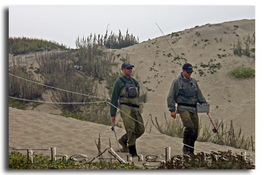 [Image: Monterey Bay Beach, coming back over the sand dunes]