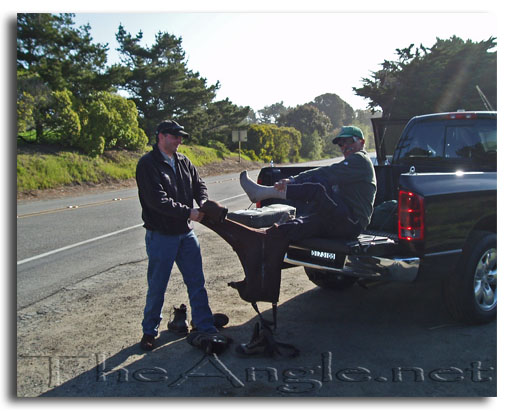 [Image: surf perch]