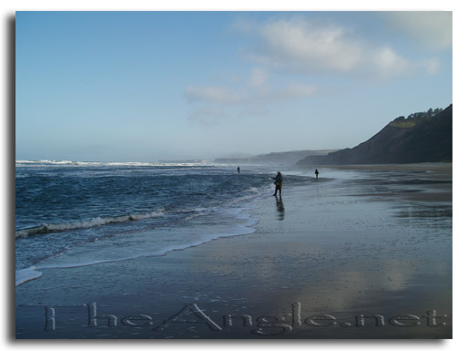 [Image: surf perch]