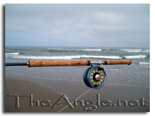 [fly fishing surf rod]