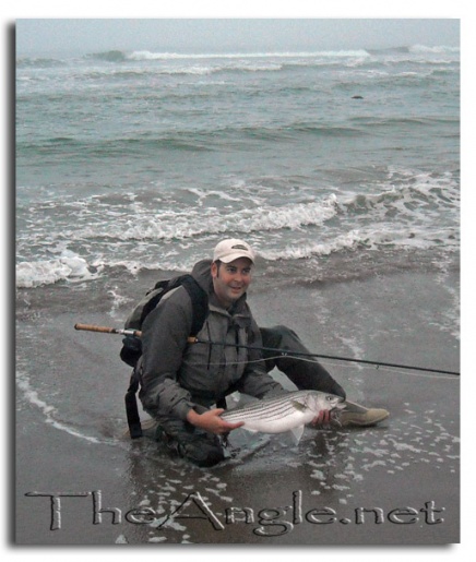 [fly fishing striper california surf]