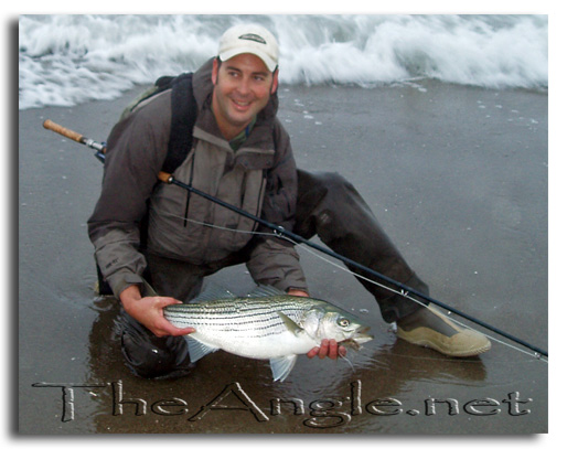 [surf caught striper]