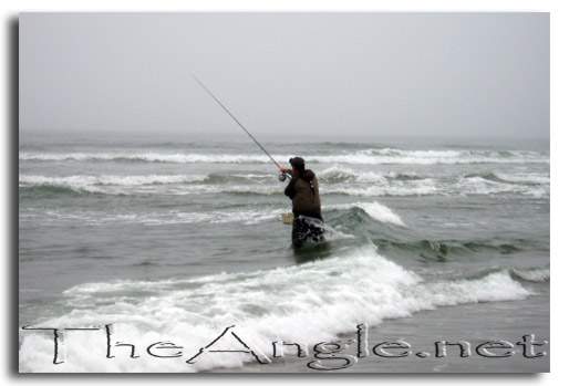 [Fly Casting California Surf]