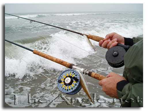 [Surf Fly Fishing Rods]