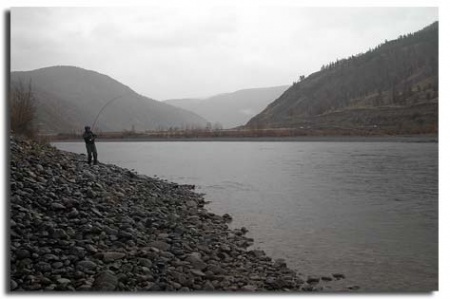 [Image: Thompson River Steelhead fishing 2006]