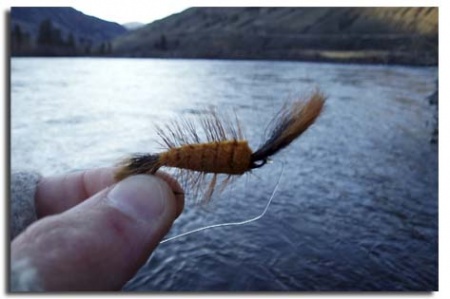 [Image: Thompson River Steelhead fishing 2006]