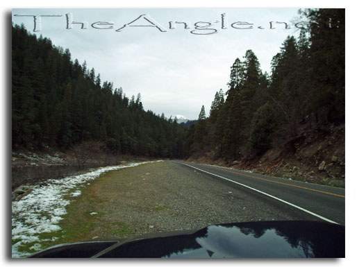 [Image, Christmas Steelhead, 2007]