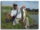 [Image, Jose Silva, Fly Fishing for carp]